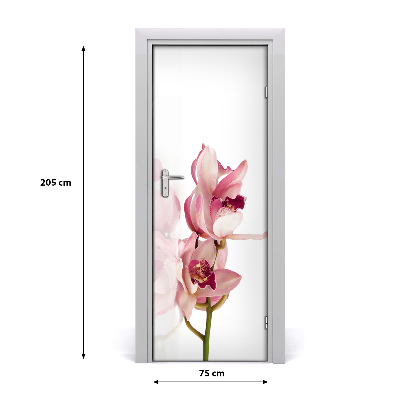 Lipdukas ant durų Rožinė orchidėja