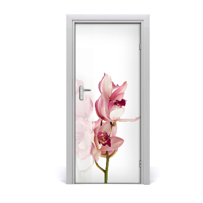 Lipdukas ant durų Rožinė orchidėja