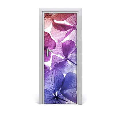 Lipni durų tapetai Violetinės gėlės