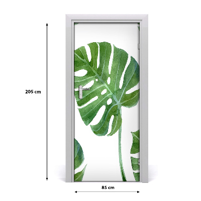 Lipdukas ant durų Monstera