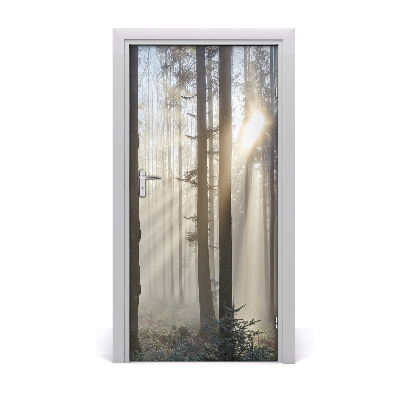 Durų lipdukas Rūkas miške