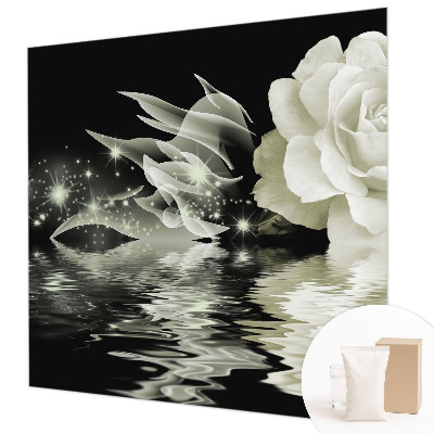 Fototapetas ant sienos Lysende rožė