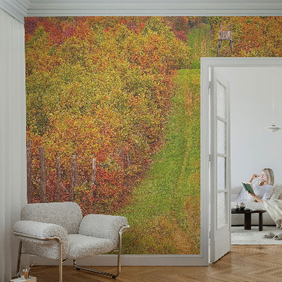 Fototapetas pagal matmenis vakaro spalvų motyvas