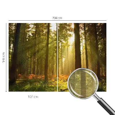 Fototapetas svetainei su piešiniu „Skovmorgenas“