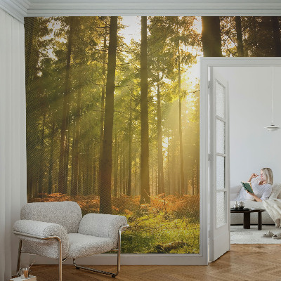 Fototapetas svetainei su piešiniu „Skovmorgenas“