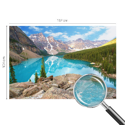 Fototapetas miegamajam Mėlynasis sojas