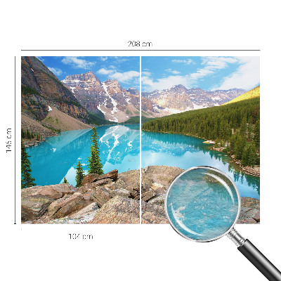 Fototapetas miegamajam Mėlynasis sojas