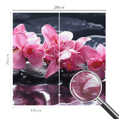 Modernus fototapetas Blomsteragtig elegancija