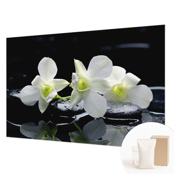 Aukštos kokybės fototapetas Bloomster og sten