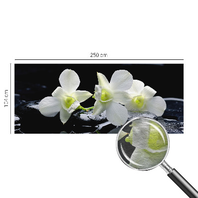 Aukštos kokybės fototapetas Bloomster og sten