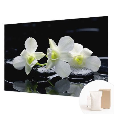 Aukštos kokybės fototapetas Bloomster og sten