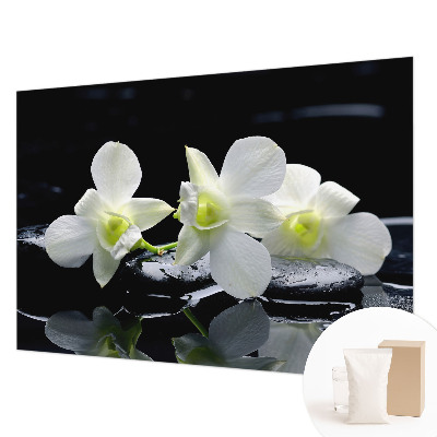 Aukštos kokybės fototapetas Bloomster og sten