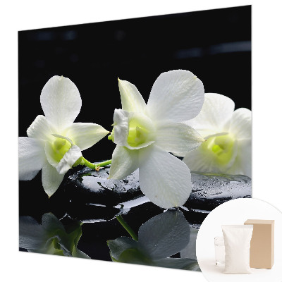 Aukštos kokybės fototapetas Bloomster og sten