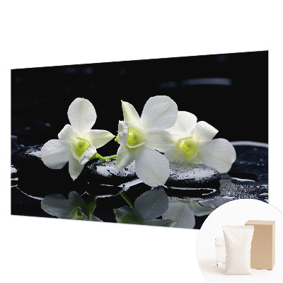 Aukštos kokybės fototapetas Bloomster og sten