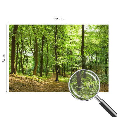 Fototapetas flizelino pagrindu Natūralus stilius