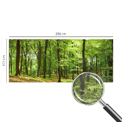 Fototapetas flizelino pagrindu Natūralus stilius