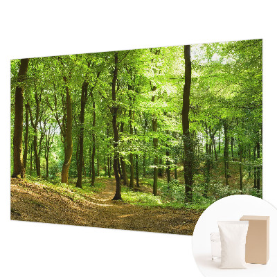 Fototapetas flizelino pagrindu Natūralus stilius