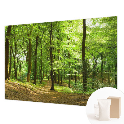 Fototapetas flizelino pagrindu Natūralus stilius