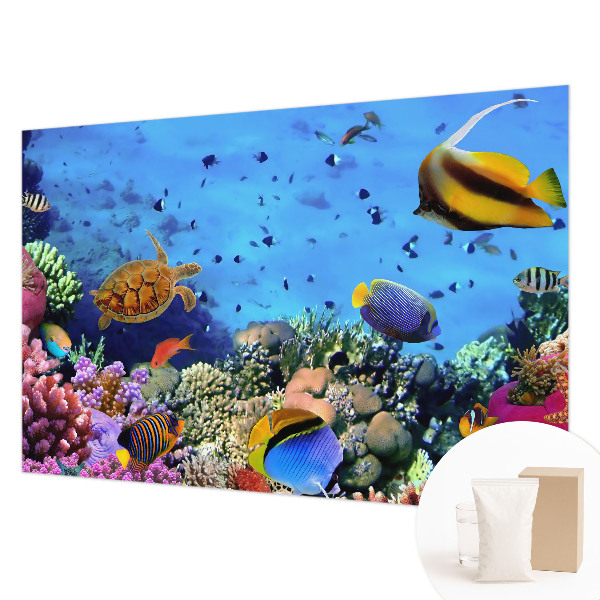 Plaunamas flizelininis fototapetas Koralrevas