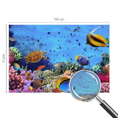 Plaunamas flizelininis fototapetas Koralrevas