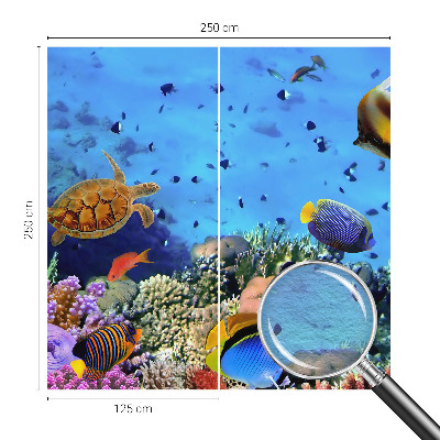 Plaunamas flizelininis fototapetas Koralrevas