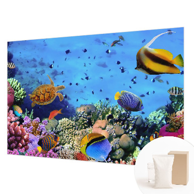 Plaunamas flizelininis fototapetas Koralrevas