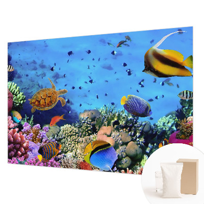 Plaunamas flizelininis fototapetas Koralrevas