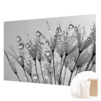 Fototapetas pagal užsakymą Våd delikatesai