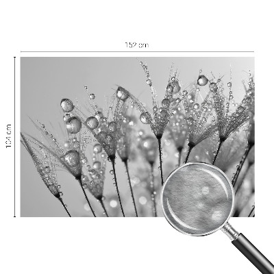 Fototapetas pagal užsakymą Våd delikatesai