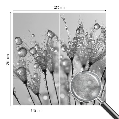 Fototapetas pagal užsakymą Våd delikatesai