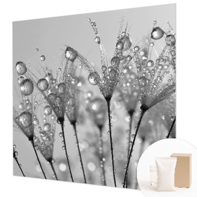 Fototapetas pagal užsakymą Våd delikatesai