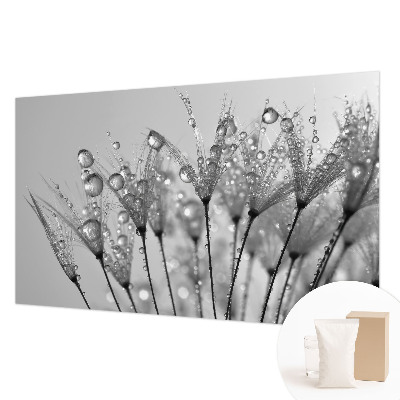 Fototapetas pagal užsakymą Våd delikatesai