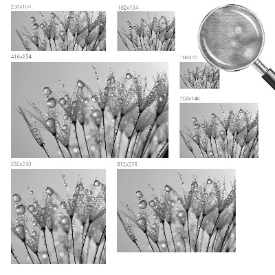 Fototapetas pagal užsakymą Våd delikatesai