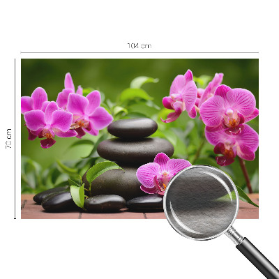 Fototapetas svetainei su orchidejos motyvu