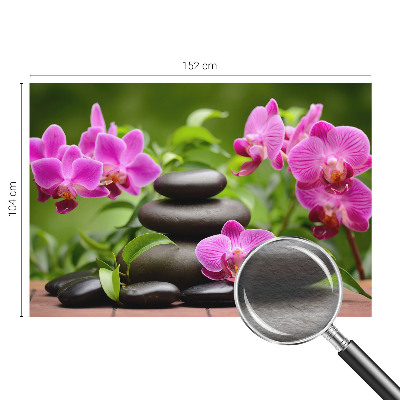 Fototapetas svetainei su orchidejos motyvu