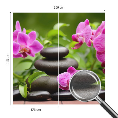 Fototapetas svetainei su orchidejos motyvu