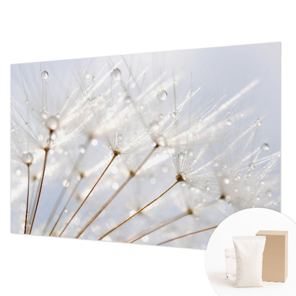 Fototapetas pagal matmenis Rosenrød mælkebøtte