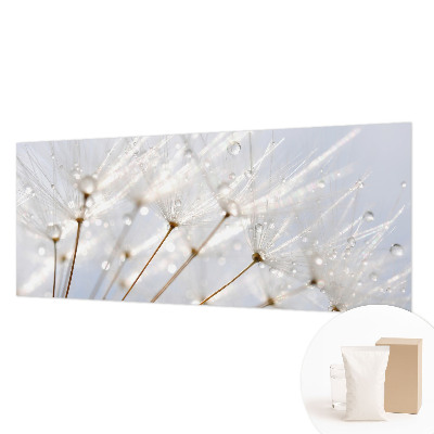 Fototapetas pagal matmenis Rosenrød mælkebøtte