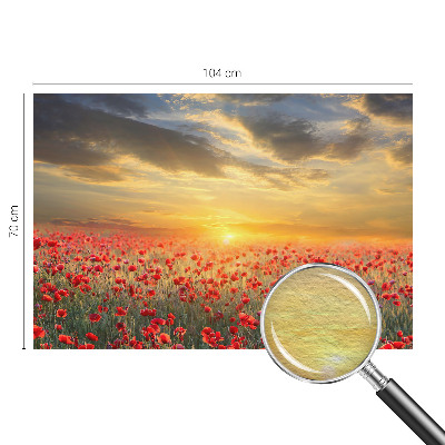 Fototapetas flizelino pagrindu Valmuefeltas