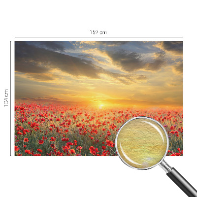 Fototapetas flizelino pagrindu Valmuefeltas