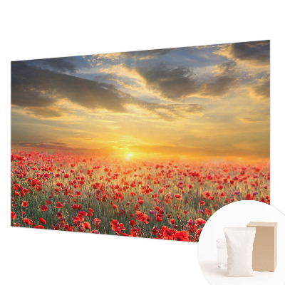 Fototapetas flizelino pagrindu Valmuefeltas