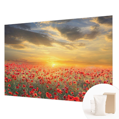 Fototapetas flizelino pagrindu Valmuefeltas