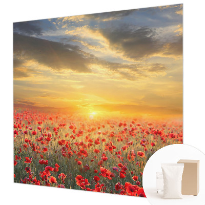 Fototapetas flizelino pagrindu Valmuefeltas