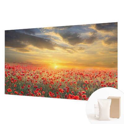 Fototapetas flizelino pagrindu Valmuefeltas