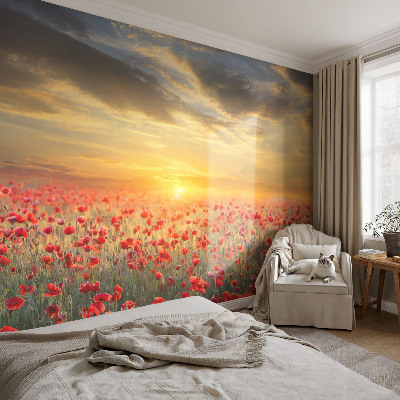 Fototapetas flizelino pagrindu su aguonų lauku