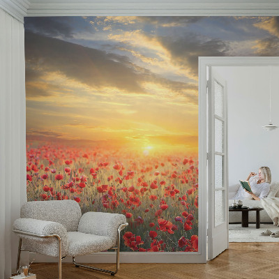 Fototapetas flizelino pagrindu su aguonų lauku