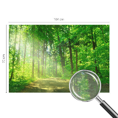 Plaunamas flizelininis fototapetas Skovsti