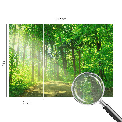 Plaunamas flizelininis fototapetas Skovsti