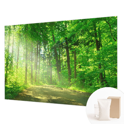 Plaunamas flizelininis fototapetas Skovsti