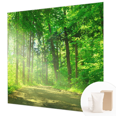 Plaunamas flizelininis fototapetas Skovsti